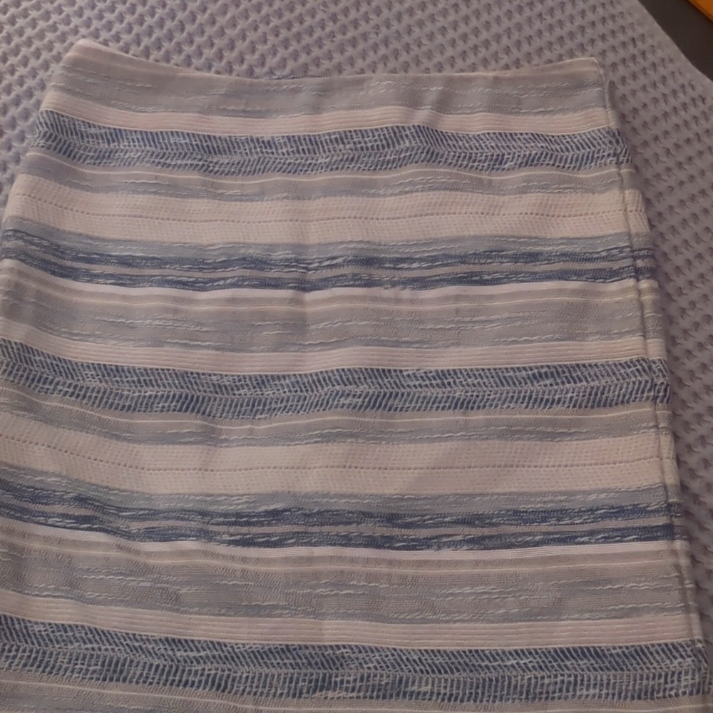 Ann Taylor Skirt